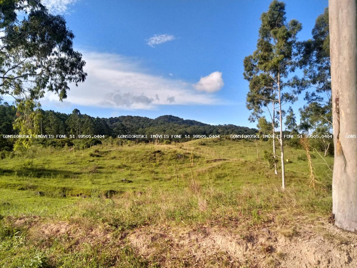 Fazenda, 40 hectares - Foto 30