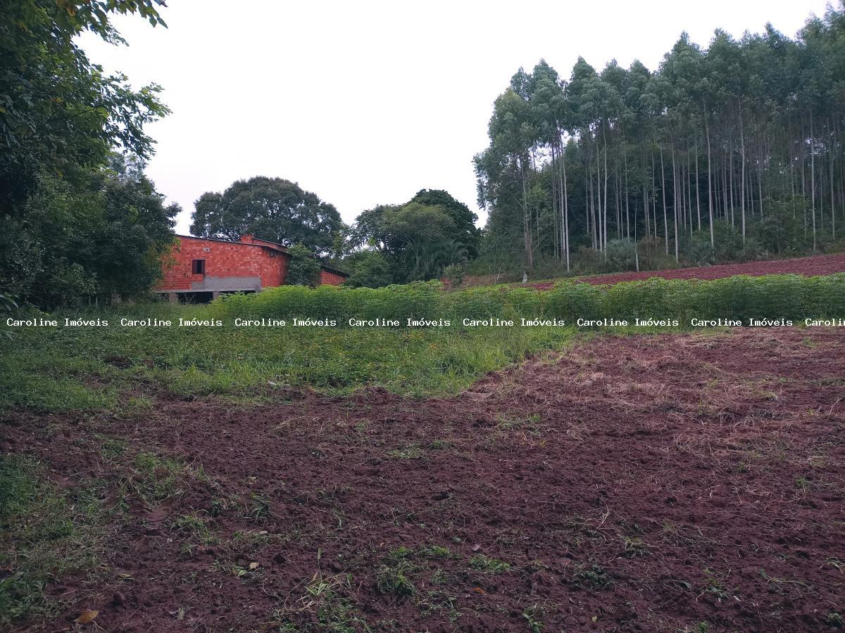 Chácara, 5 hectares - Foto 11