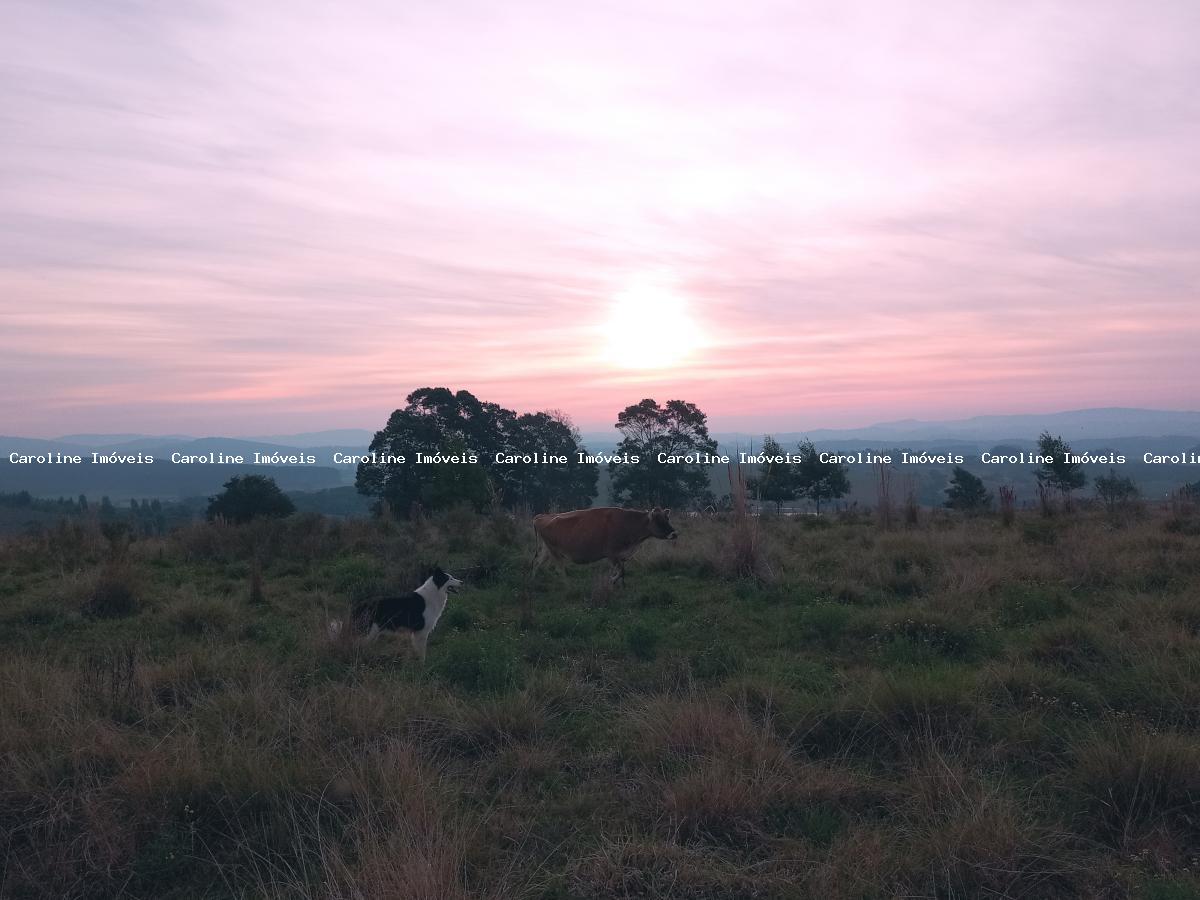 Sítio, 3 quartos, 23 m² - Foto 12