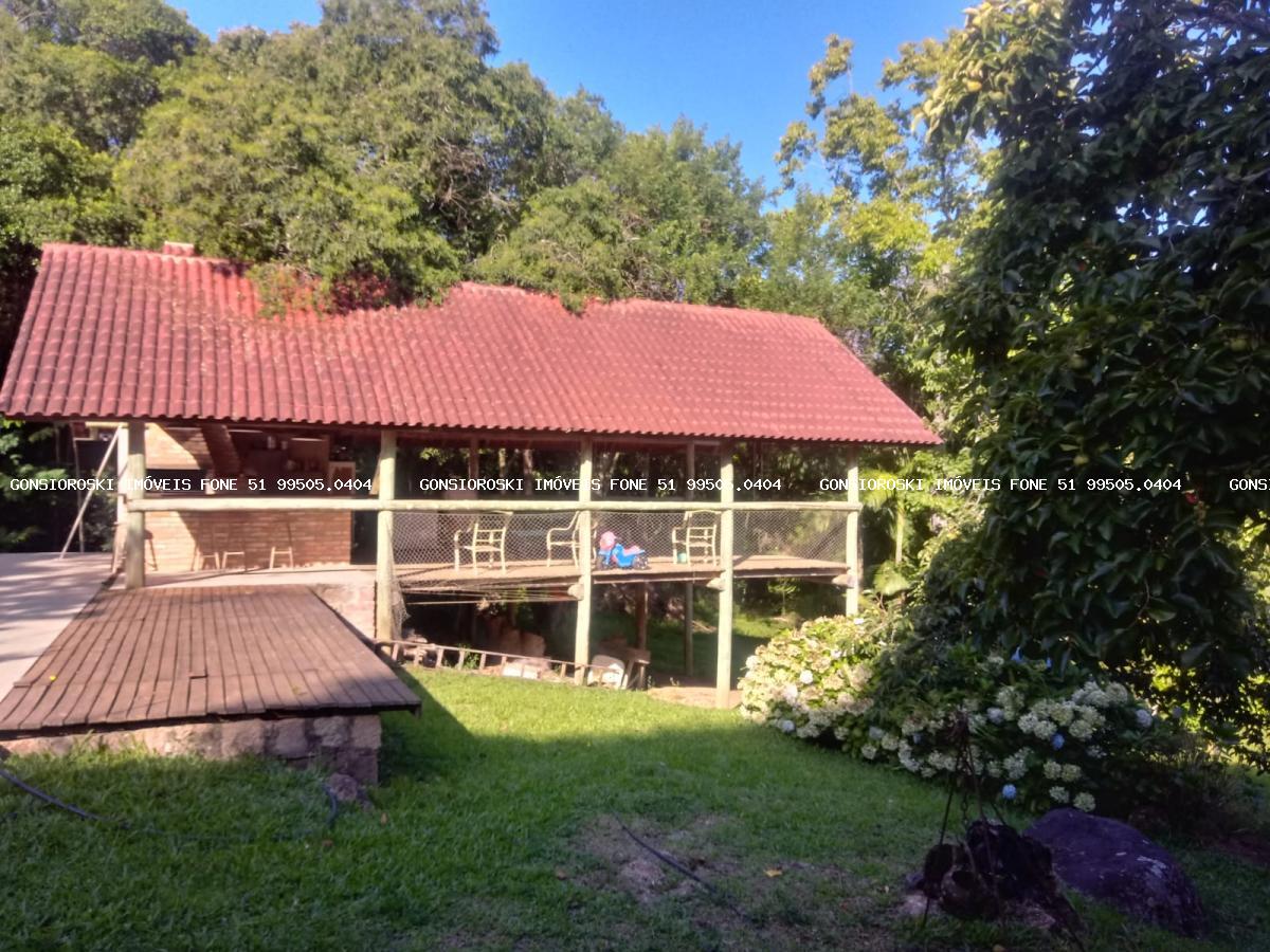 Fazenda, 40 hectares - Foto 13