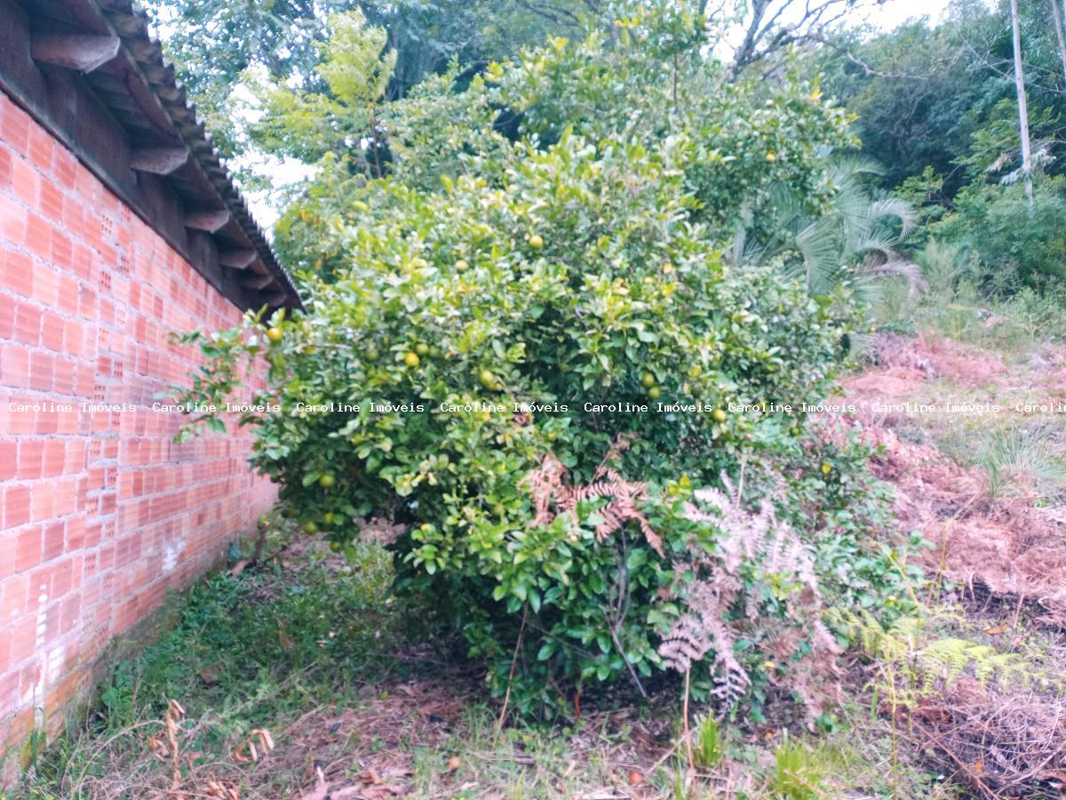 Chácara, 5 hectares - Foto 14