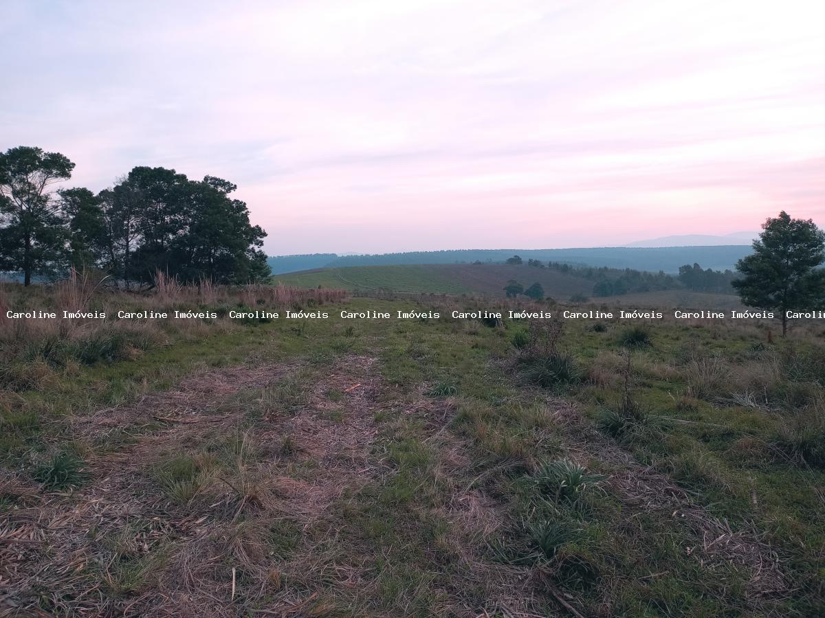 Sítio, 3 quartos, 23 m² - Foto 14