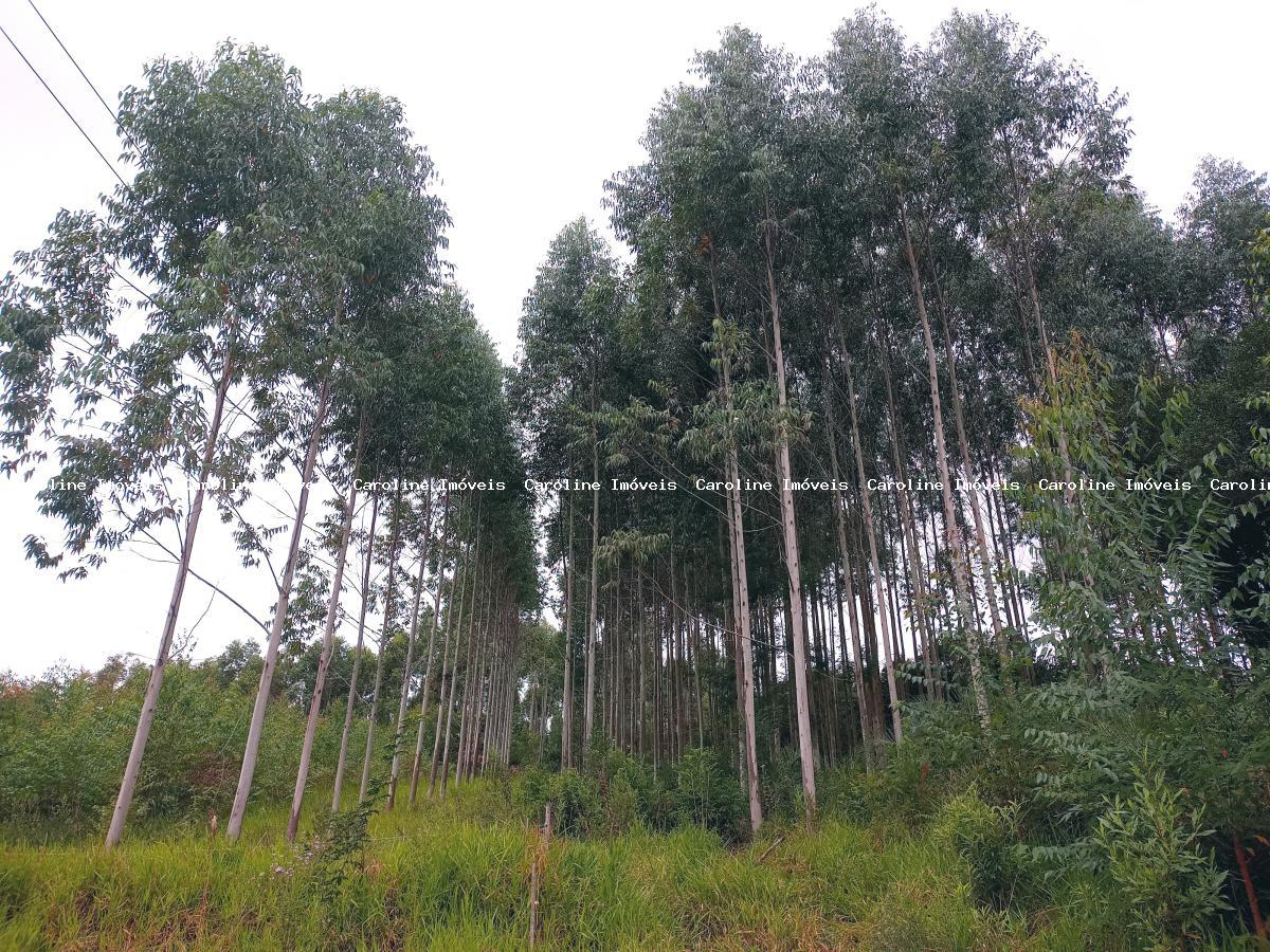 Chácara, 5 hectares - Foto 15