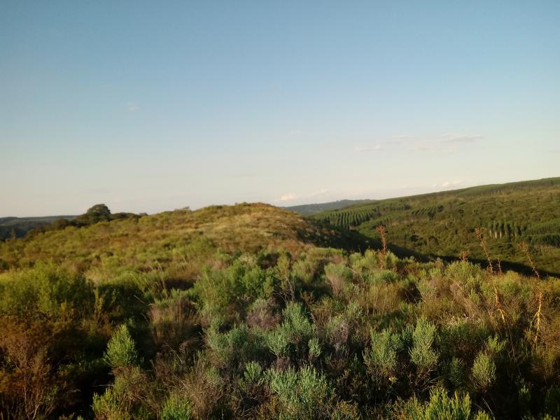 Loteamento e Condomínio, 14 hectares - Foto 16