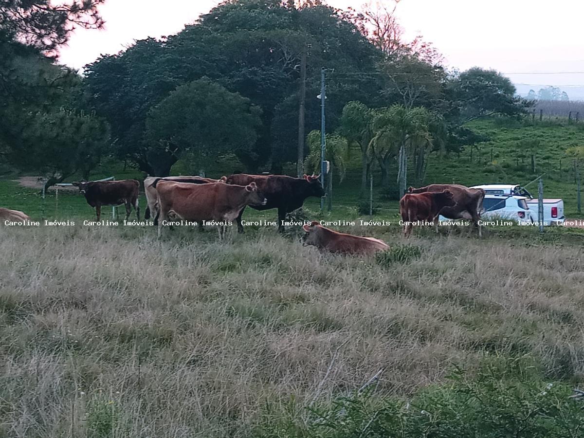 Sítio, 3 quartos, 23 m² - Foto 17