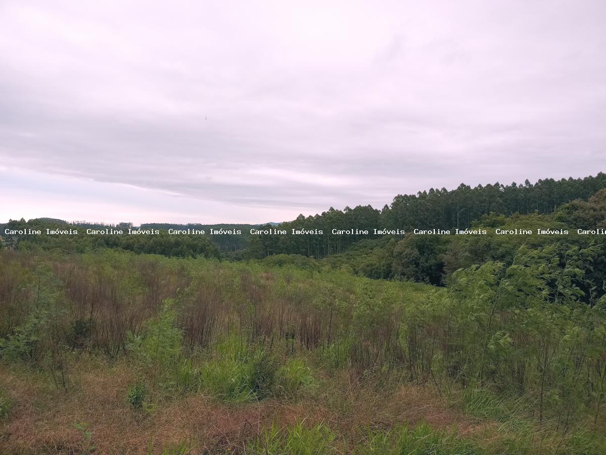 Chácara, 5 hectares - Foto 18