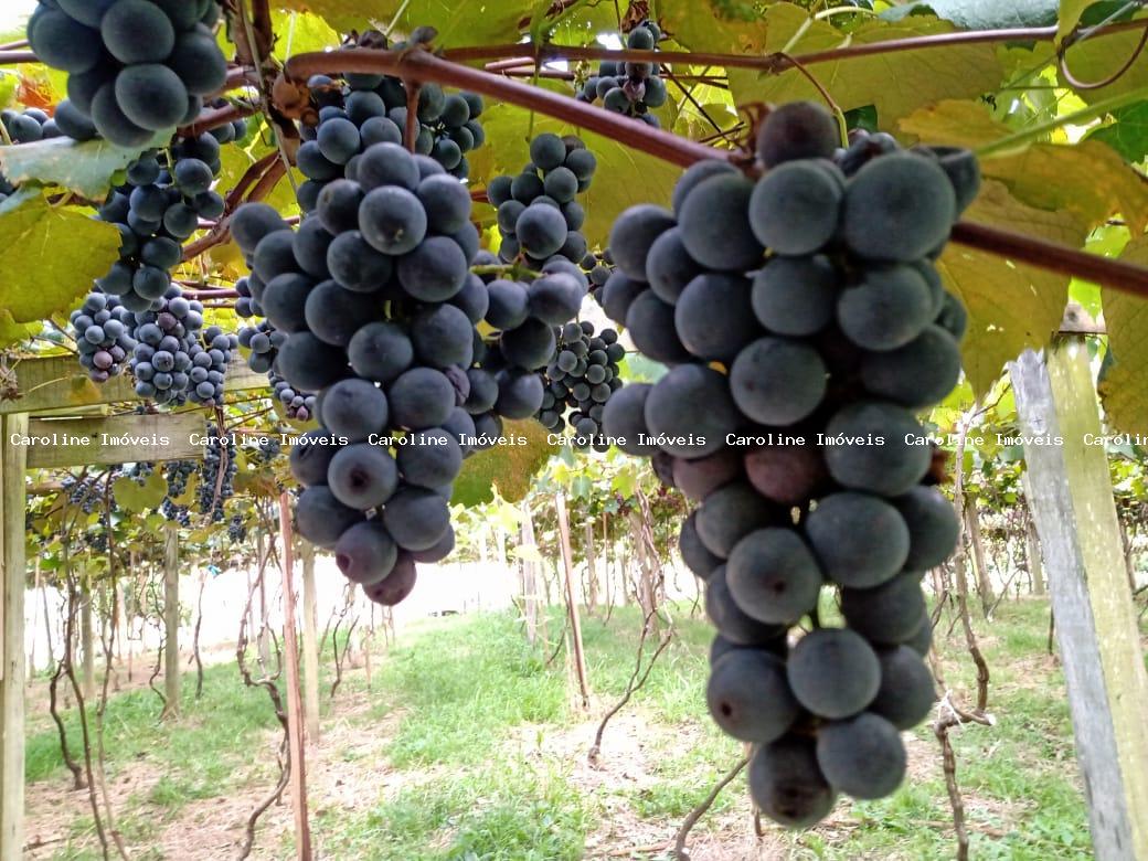 Fazenda, 42 hectares - Foto 42