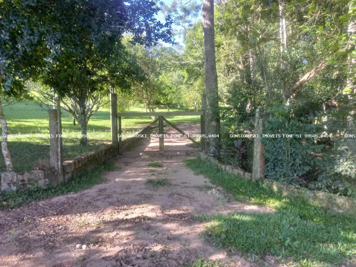 Fazenda, 40 hectares - Foto 2