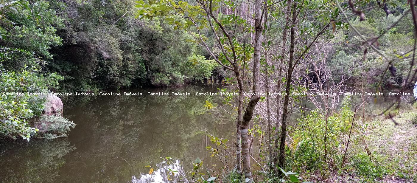 Fazenda, 42 hectares - Foto 29