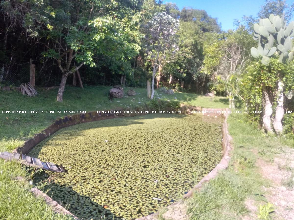 Fazenda, 40 hectares - Foto 19