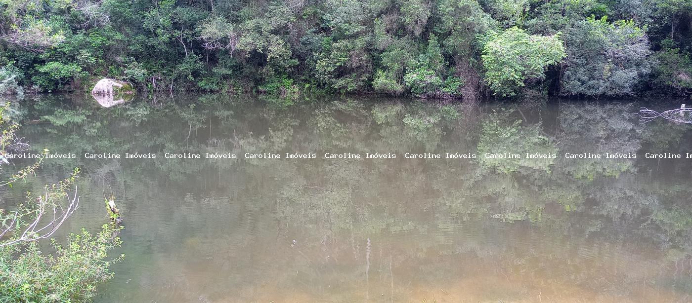 Fazenda, 42 hectares - Foto 30