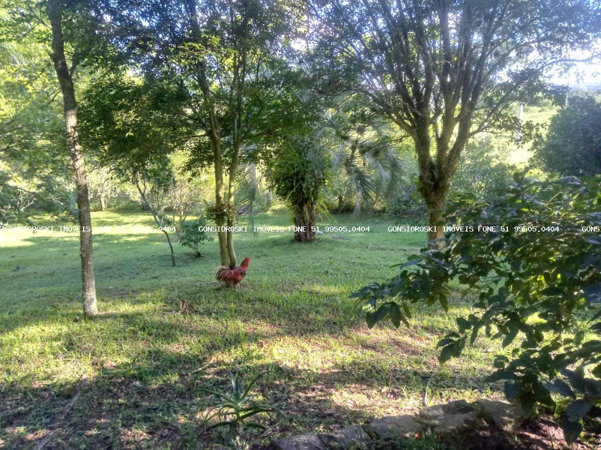 Fazenda, 40 hectares - Foto 20