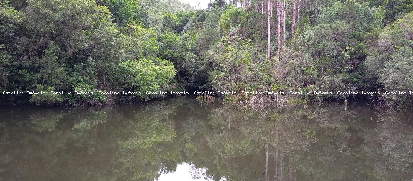 Fazenda, 42 hectares - Foto 31