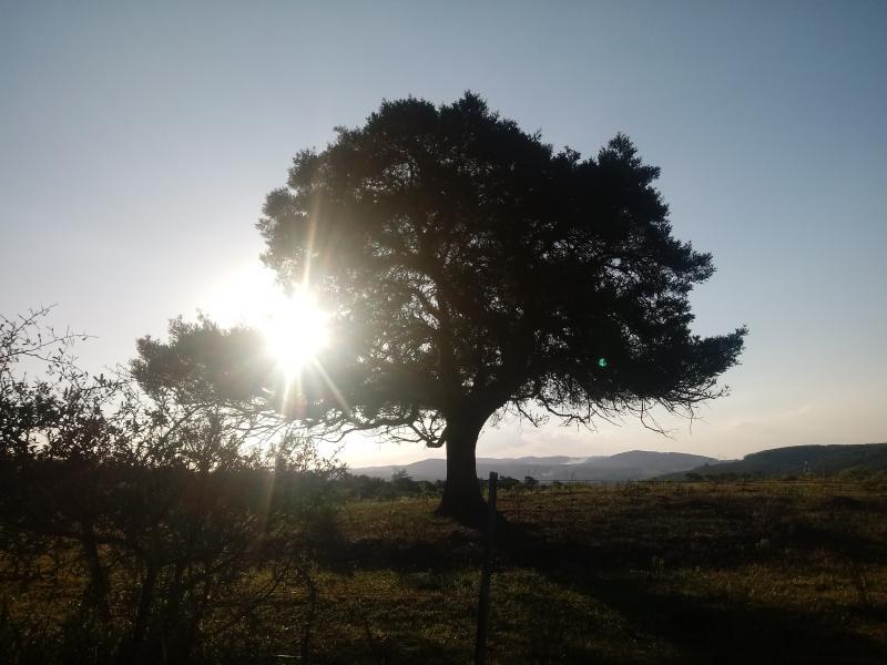 Loteamento e Condomínio, 14 hectares - Foto 22