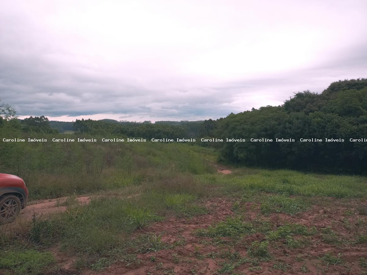 Chácara, 5 hectares - Foto 2