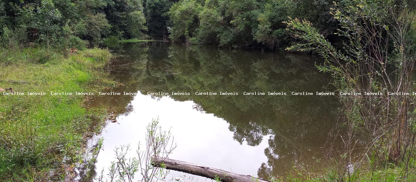 Fazenda, 42 hectares - Foto 32