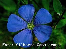 Loteamento e Condomínio, 14 hectares - Foto 23