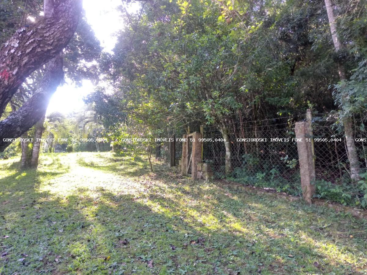 Fazenda, 40 hectares - Foto 22