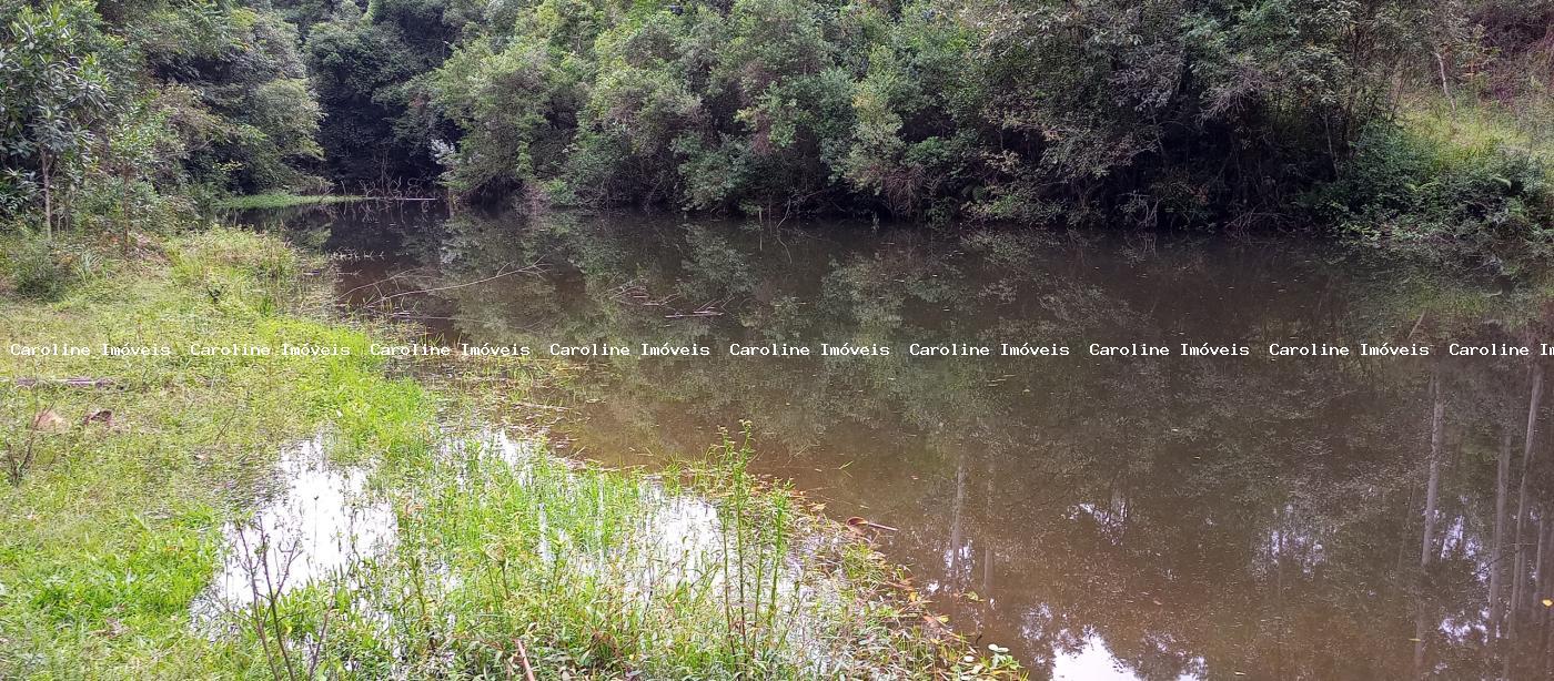 Fazenda, 42 hectares - Foto 33