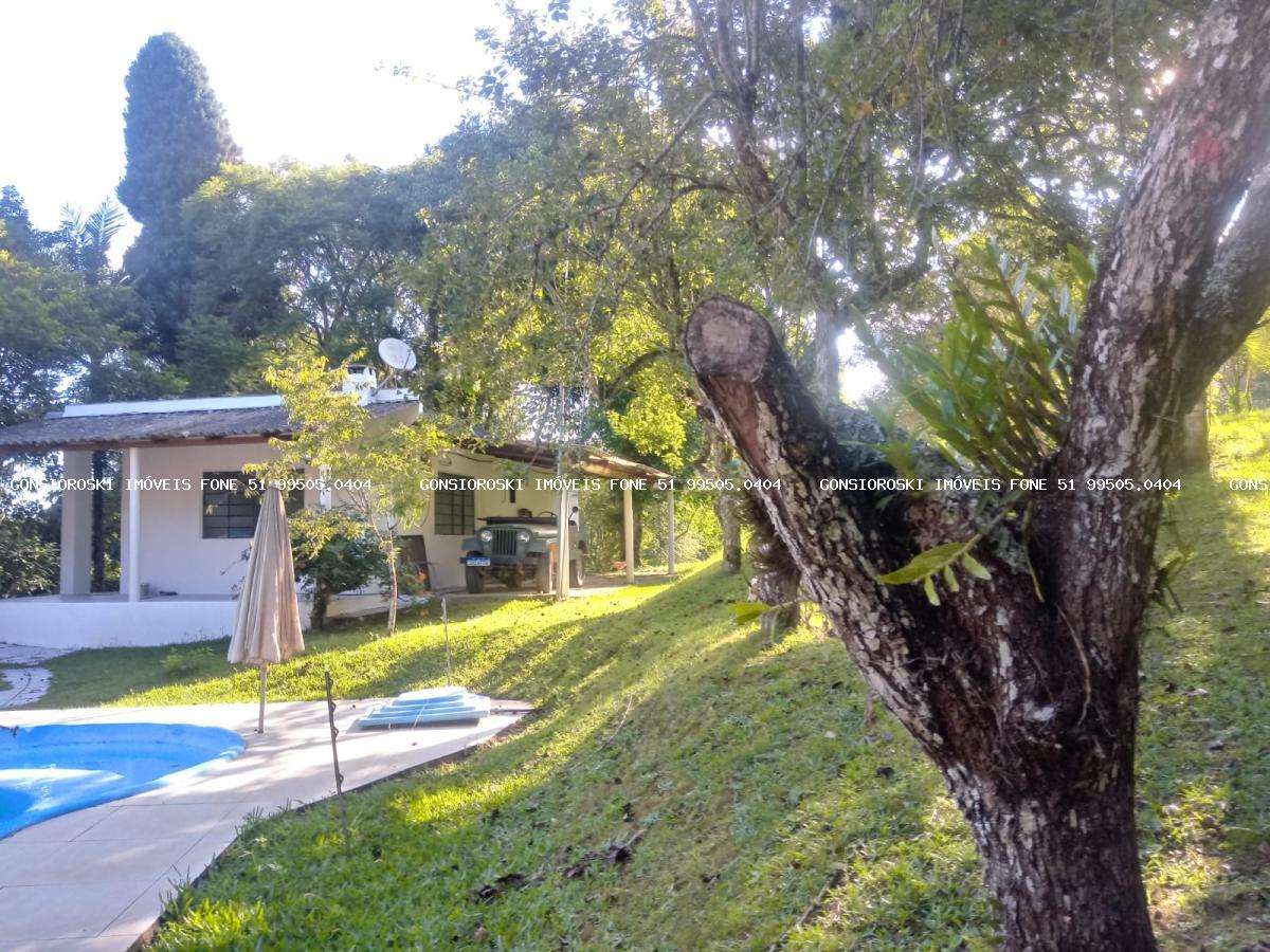 Fazenda, 40 hectares - Foto 23