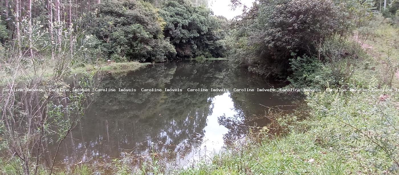 Fazenda, 42 hectares - Foto 34