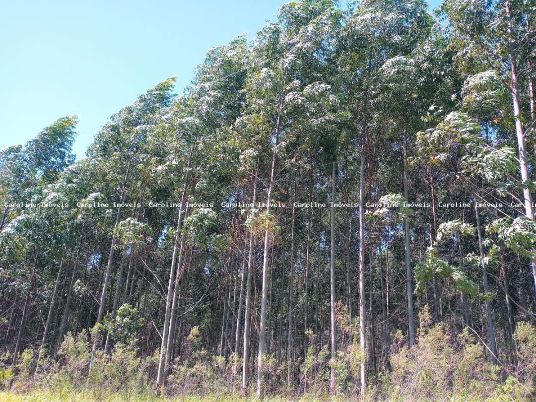 Loteamento e Condomínio, 3 hectares - Foto 3