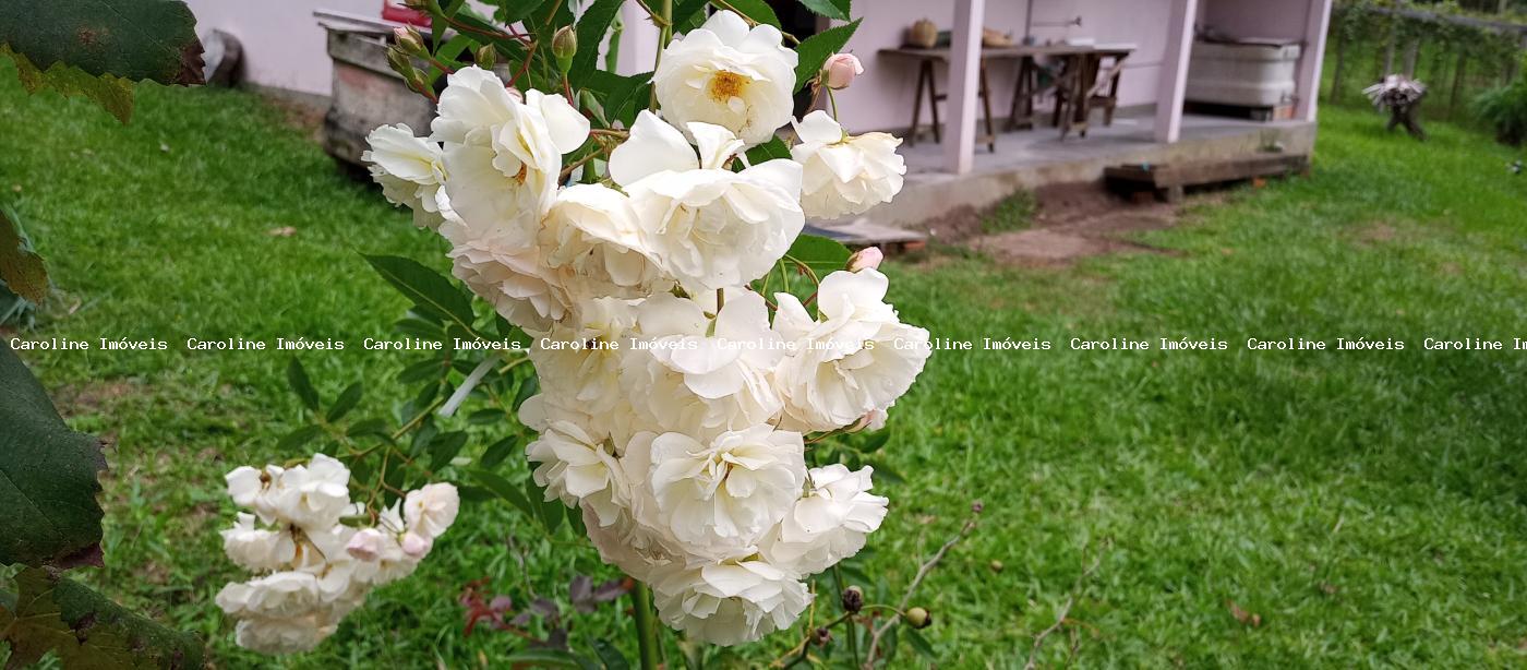 Fazenda, 42 hectares - Foto 46