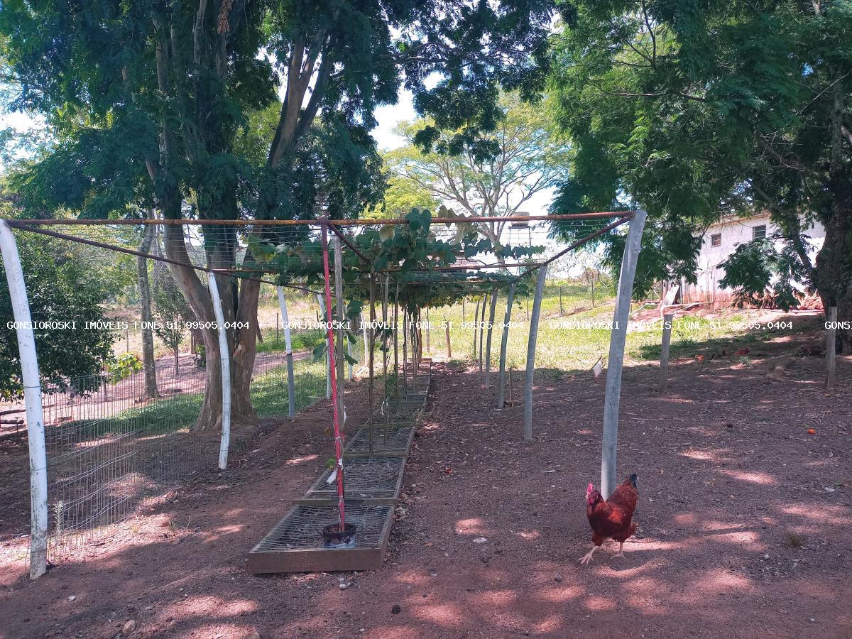 Chácara, 6 quartos, 6459 m² - Foto 39