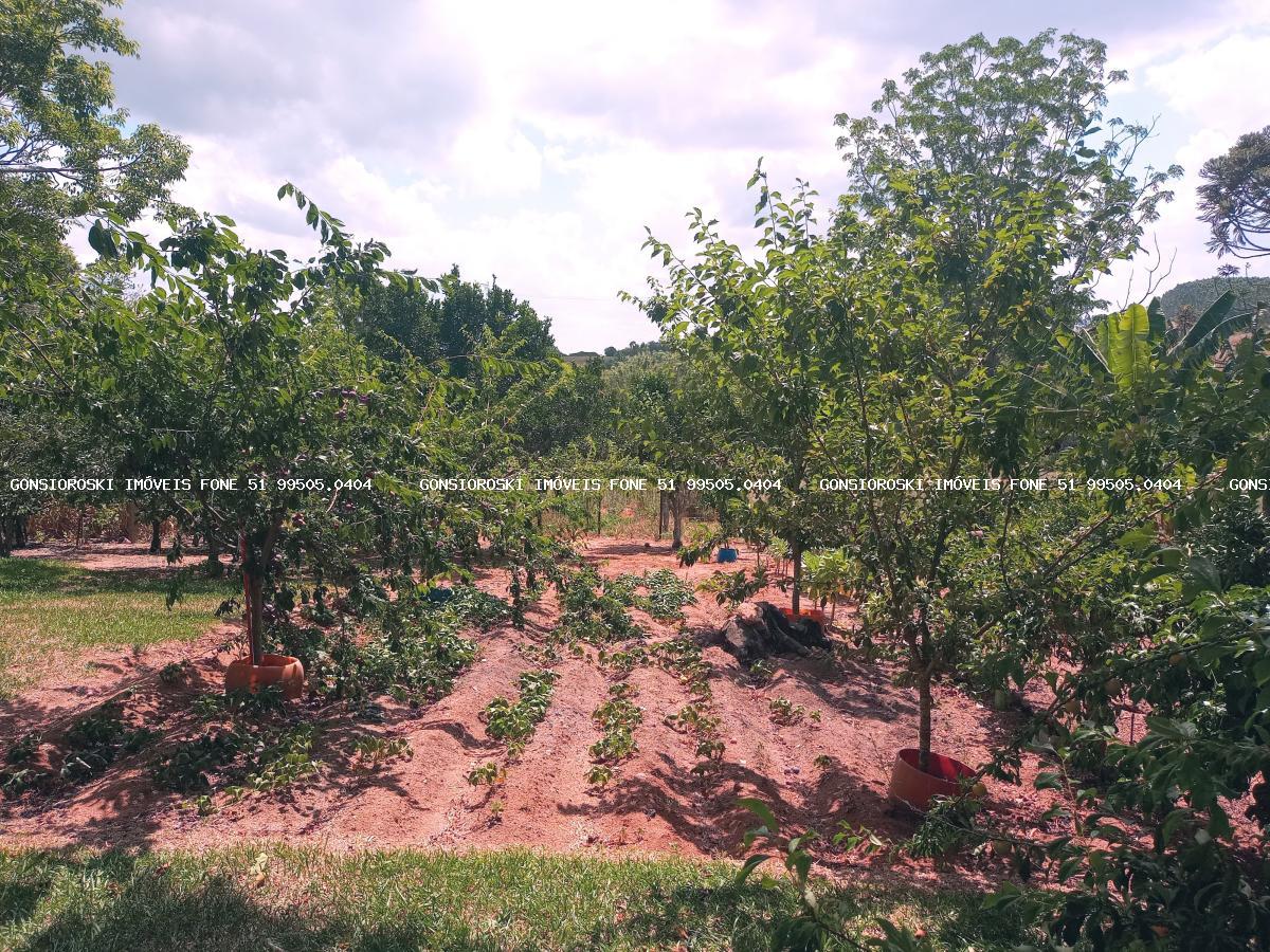 Chácara, 6 quartos, 6459 m² - Foto 40