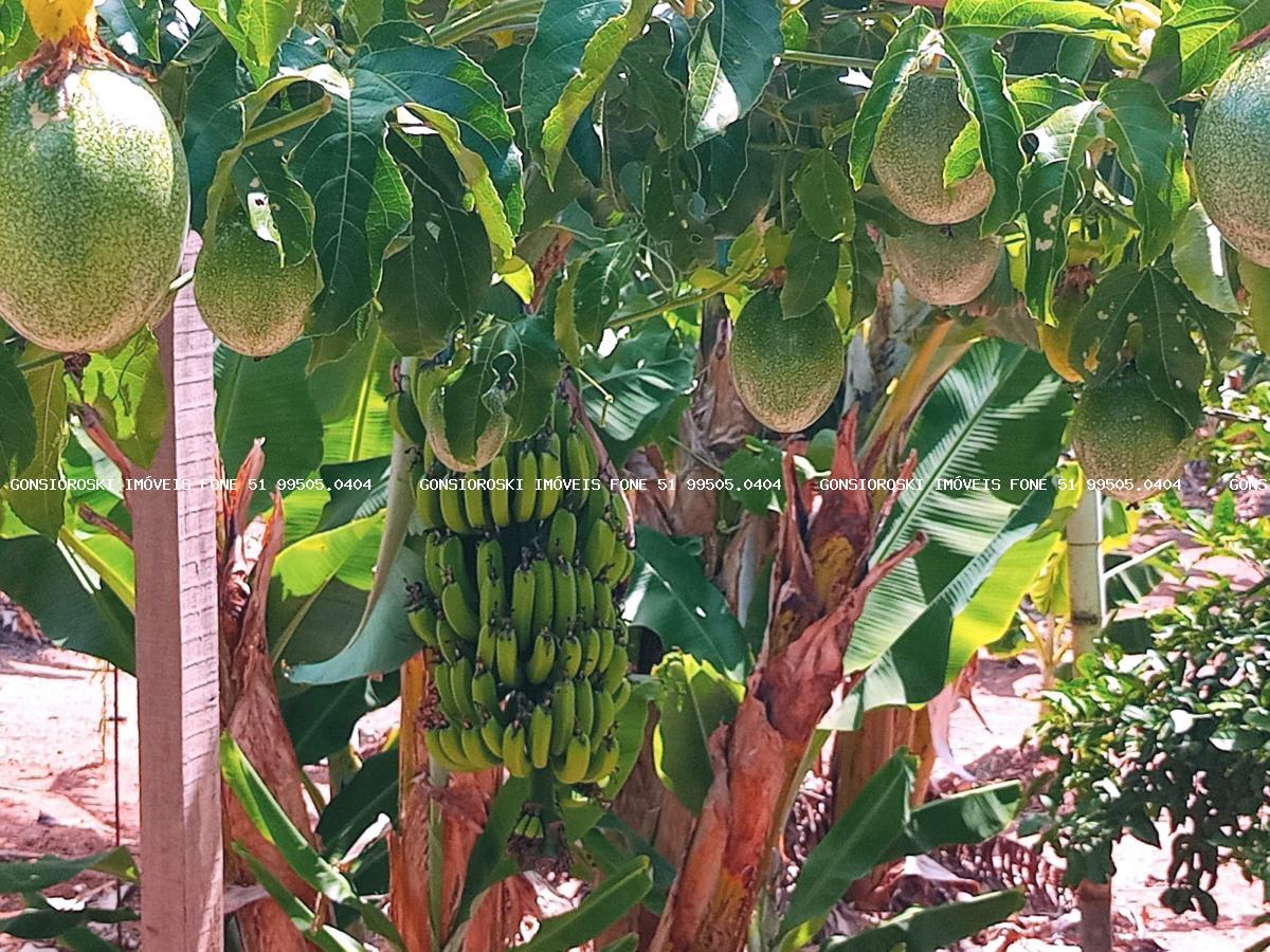 Chácara, 6 quartos, 6459 m² - Foto 41