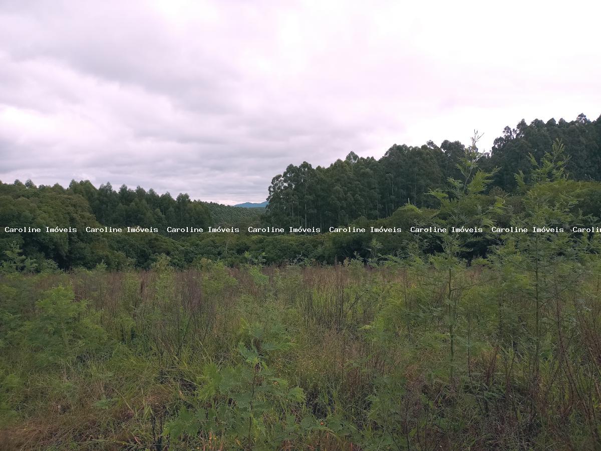 Chácara, 5 hectares - Foto 4