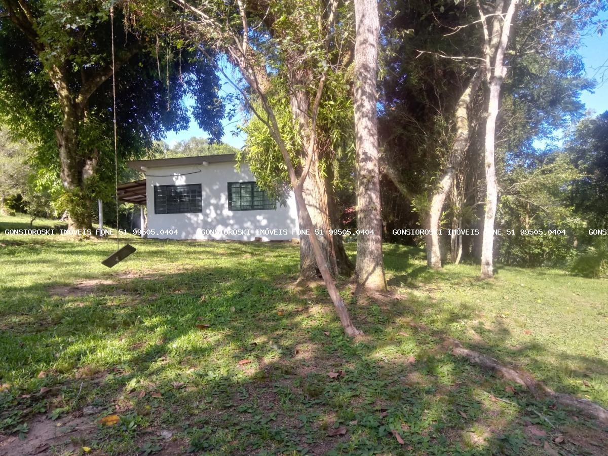 Fazenda, 40 hectares - Foto 6