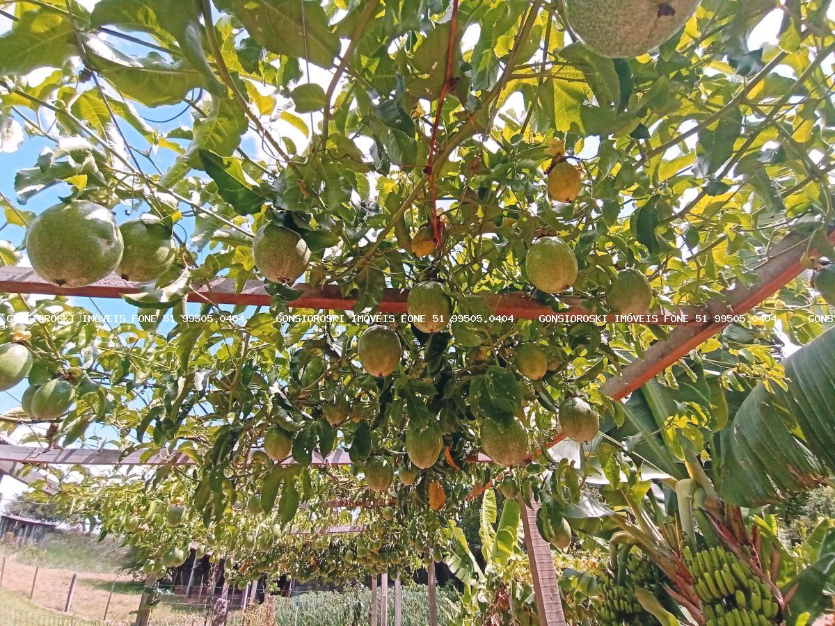 Chácara, 6 quartos, 6459 m² - Foto 44