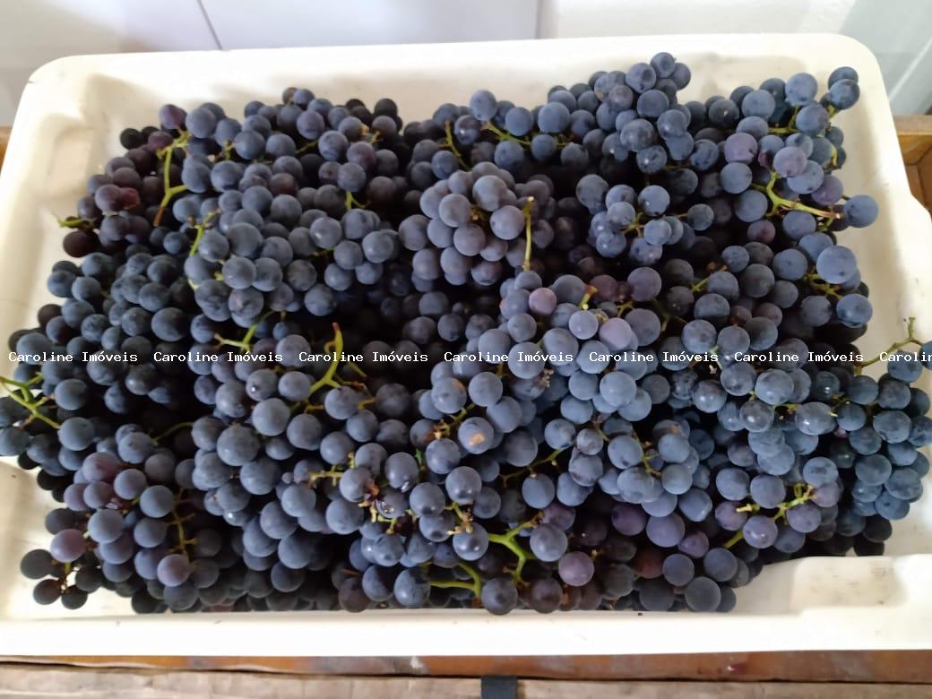 Fazenda, 42 hectares - Foto 44