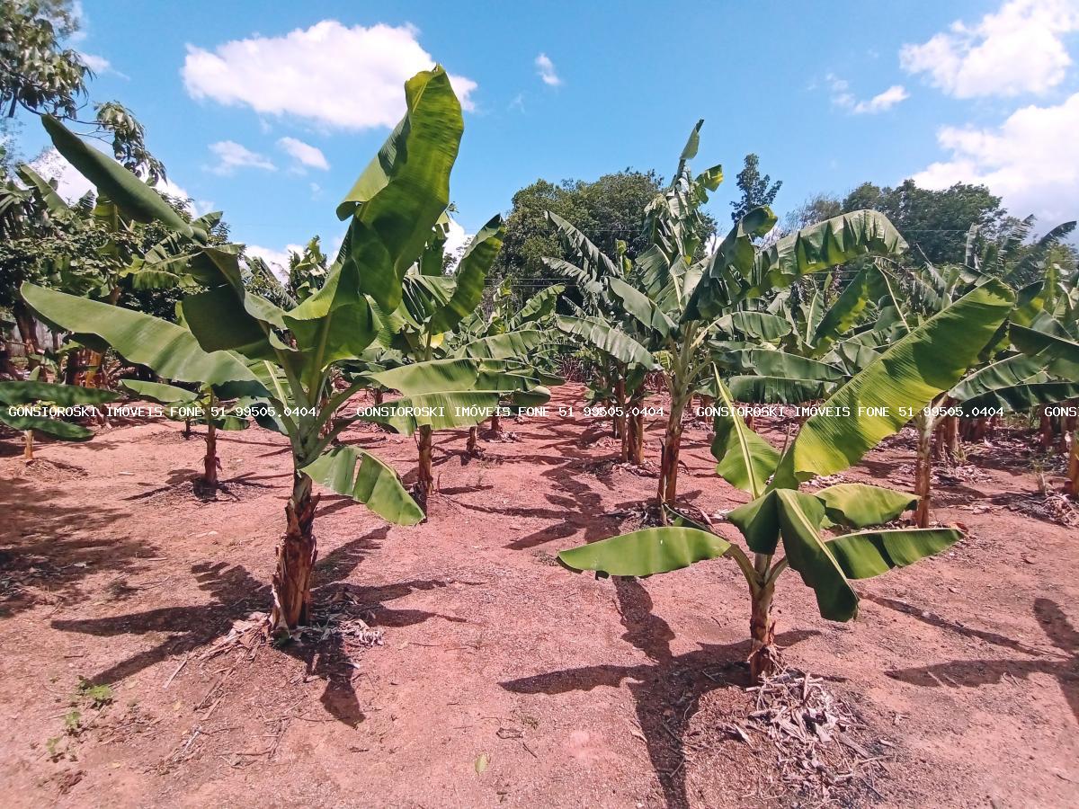 Chácara, 6 quartos, 6459 m² - Foto 45