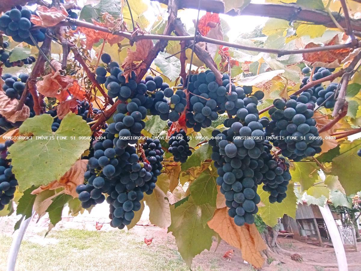 Chácara, 6 quartos, 6459 m² - Foto 47