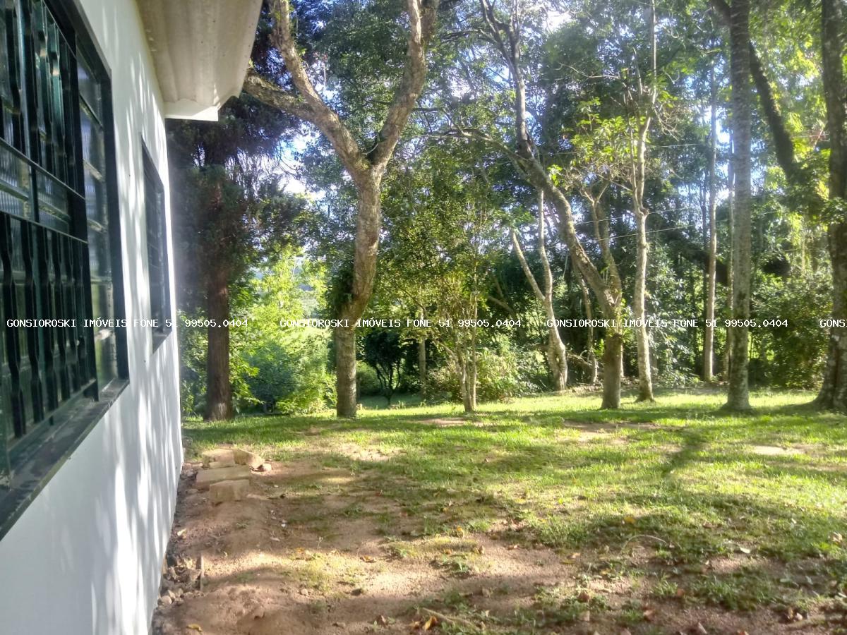 Fazenda, 40 hectares - Foto 7