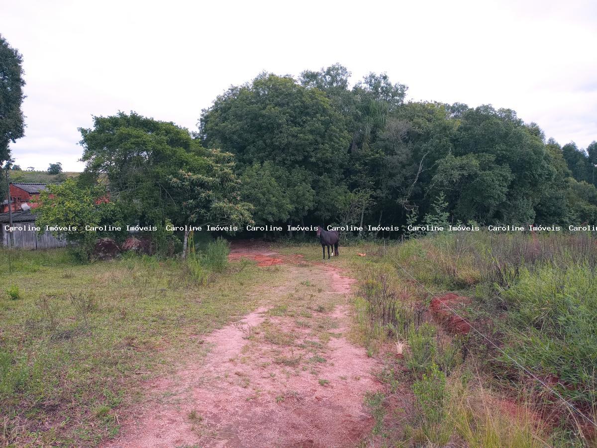 Chácara, 5 hectares - Foto 6