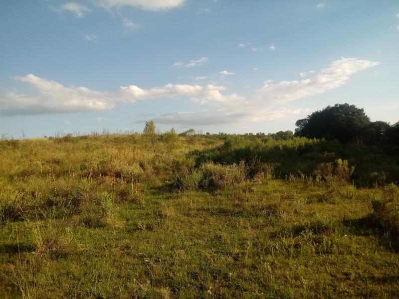 Loteamento e Condomínio, 14 hectares - Foto 7