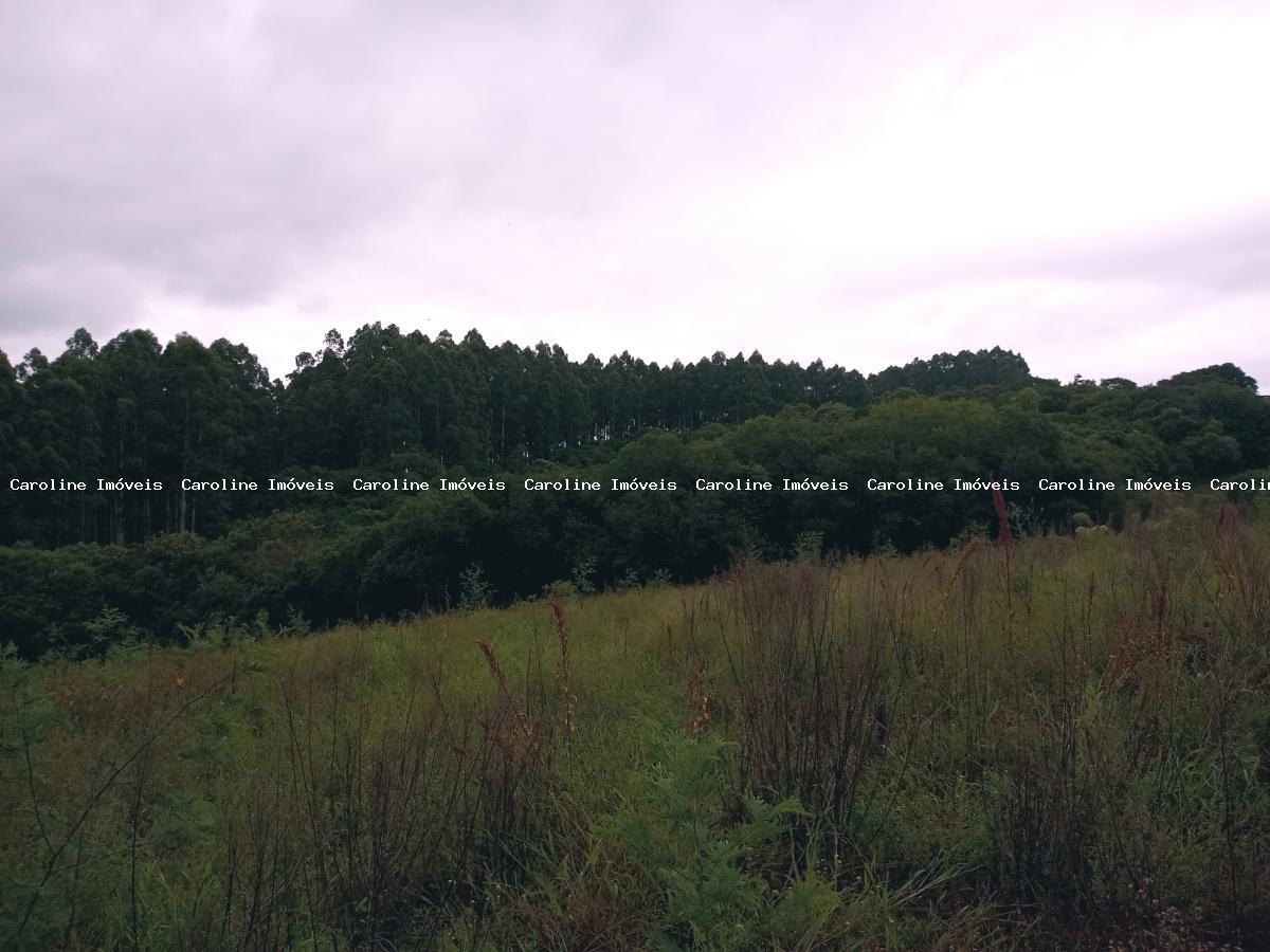 Chácara, 5 hectares - Foto 8