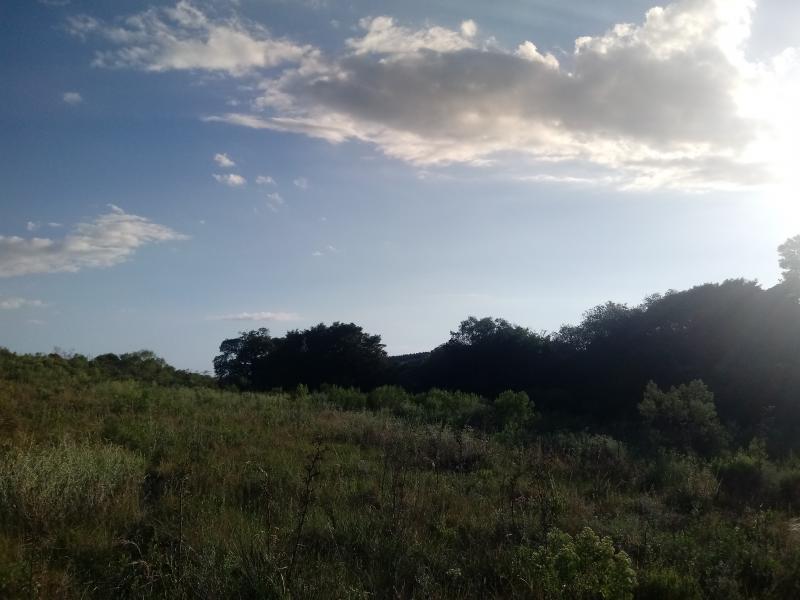 Loteamento e Condomínio, 3 hectares - Foto 9