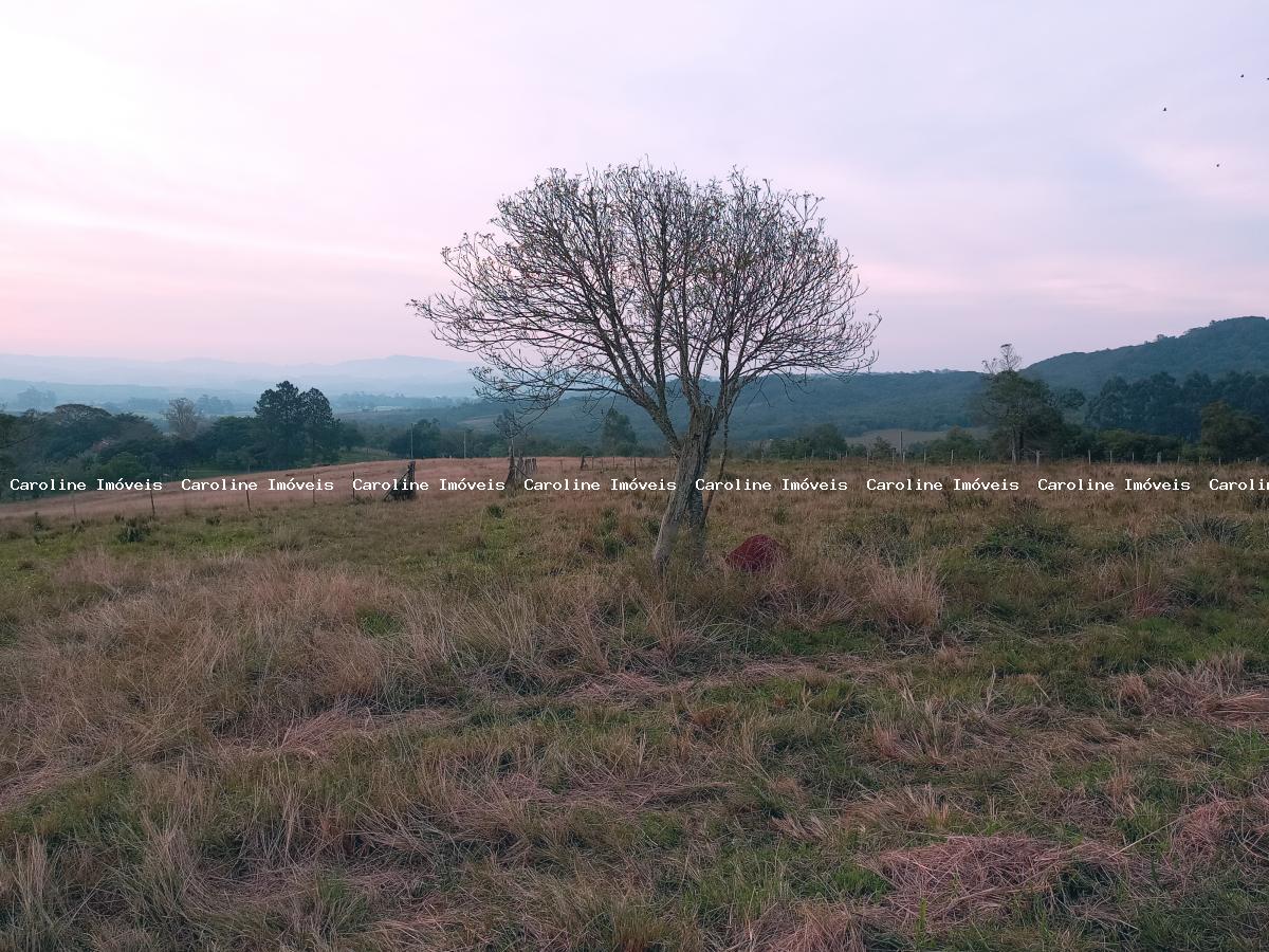 Sítio, 3 quartos, 23 m² - Foto 8