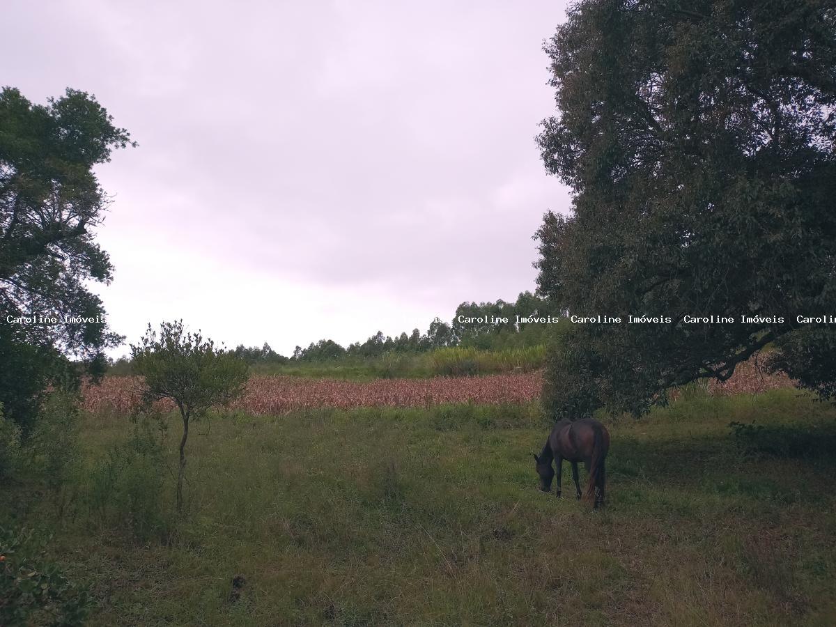 Chácara, 5 hectares - Foto 9