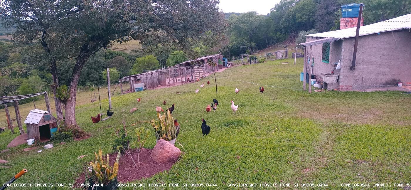 Chácara, 2 quartos, 2 hectares - Foto 10