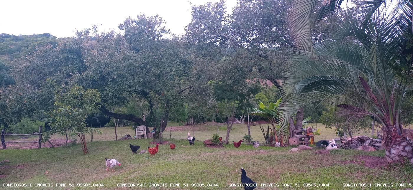 Chácara, 2 quartos, 2 hectares - Foto 12