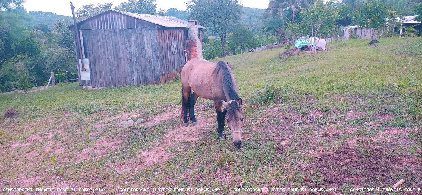 Chácara, 2 quartos, 2 hectares - Foto 16