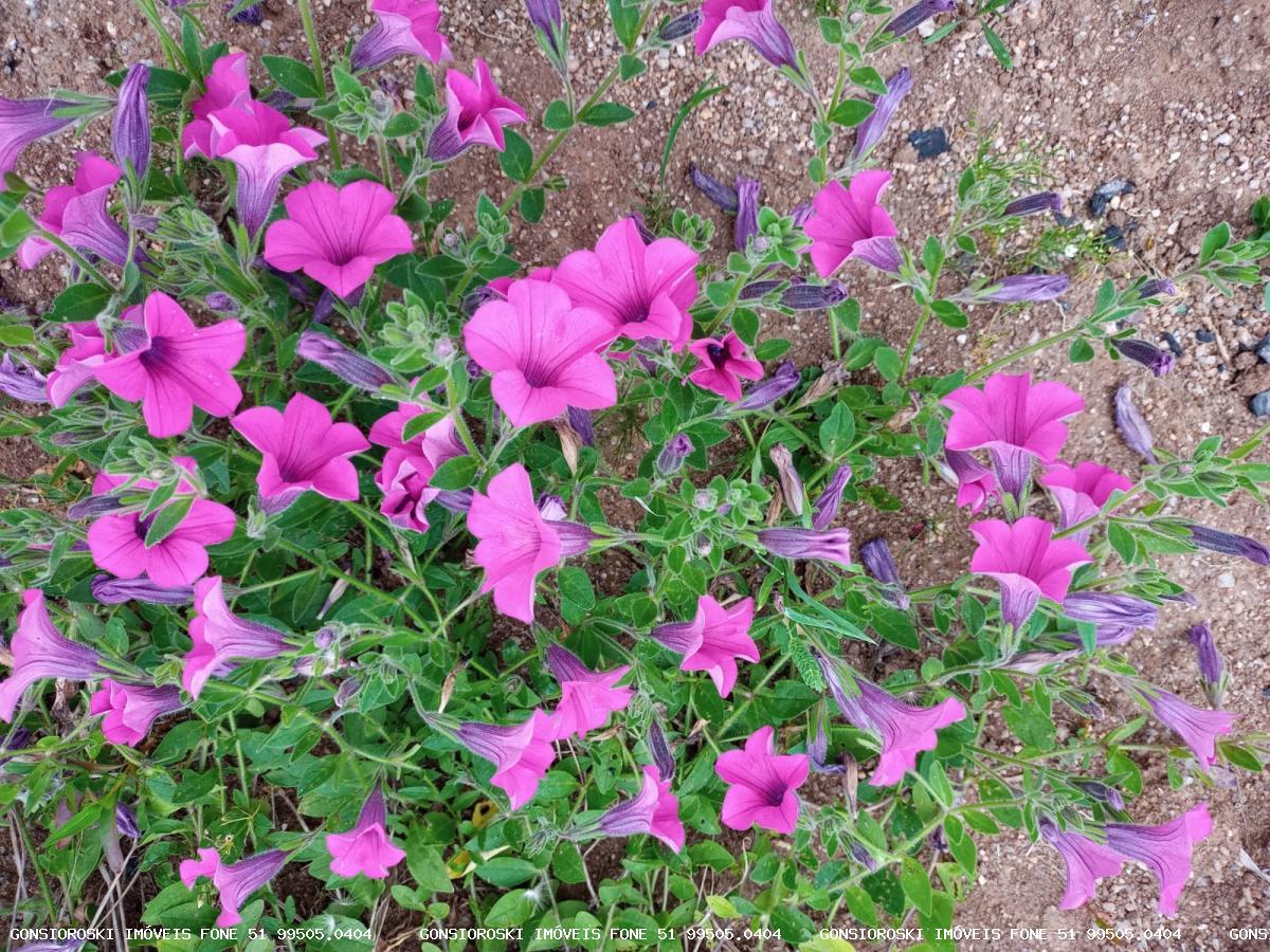 Terreno, 400 m² - Foto 1