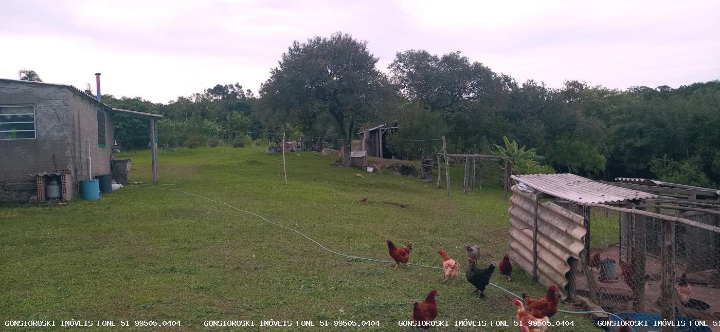 Chácara, 2 quartos, 2 hectares - Foto 13