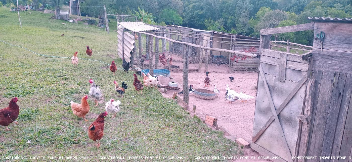 Chácara, 2 quartos, 2 hectares - Foto 11