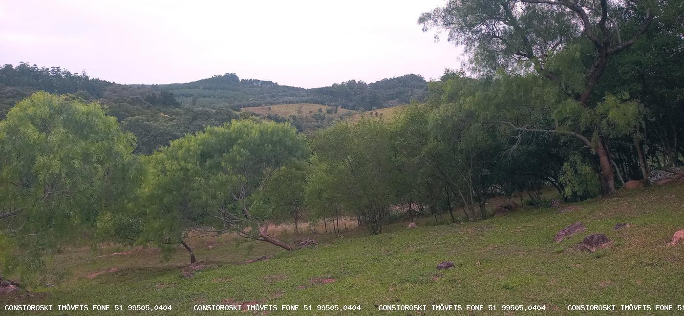 Chácara, 2 quartos, 2 hectares - Foto 18